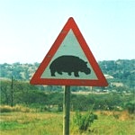 Warning Sign